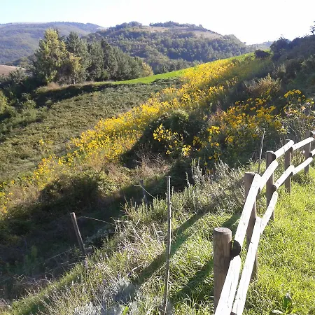 Agriturismo Pietra Rosa 农家乐